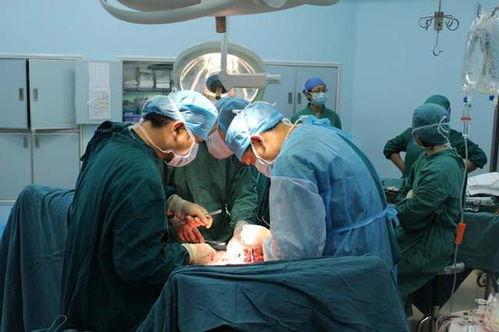 女性做膀胱镜视频,真实体验与全面解析
