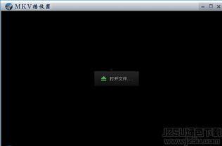 mkv视频播放器,打造个性化观影体验