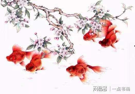 金鱼视频欣赏,探寻水中精灵的优雅与灵动
