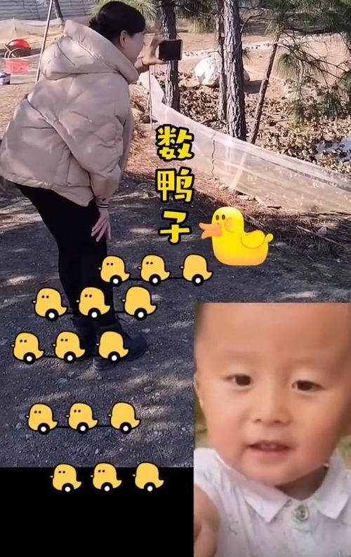 数鸭子视频,趣味互动，寓教于乐的儿童启蒙之旅