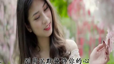 优美视频,探寻视觉盛宴的奥秘