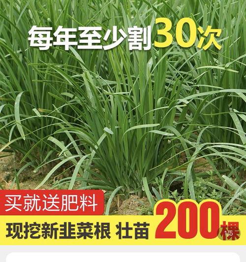 吃瓜爆料.co m大学,大学生活那些事儿