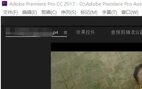 视频可以p吗,从画面到文字的完美转换