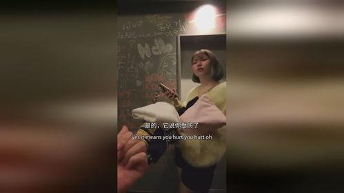 男人日女人视频在线观看,在线观看背后的秘密与启示