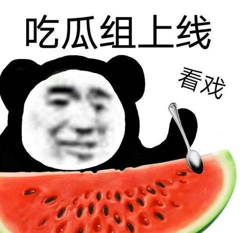吃瓜黑料视频在哪里看,吃瓜黑料视频的观看攻略