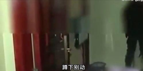 三级带视频,深度解析其魅力与内涵