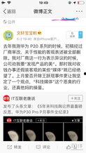 吃瓜福利爆料免费,免费畅享的神秘世界大揭秘！
