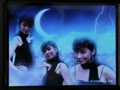 性视频mp4,揭秘成人内容的魅力与争议