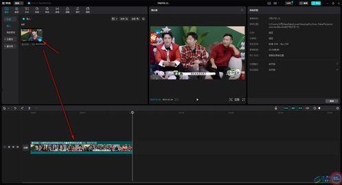 新 视频,新视频揭示科技前沿突破