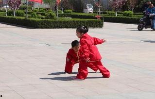 五步拳表演视频,传统武术的韵味与力量展现
