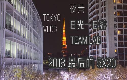 夜色视频在线,揭秘都市光影下的生活百态