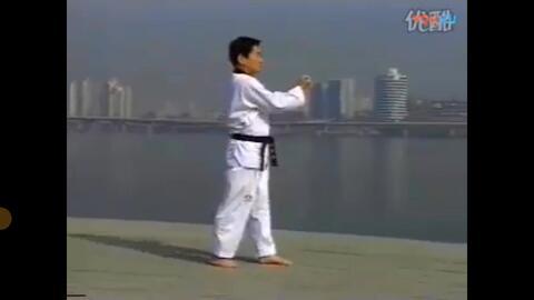 太极一章的视频,动静之间，阴阳相生