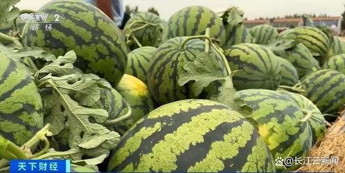 全国各地免费吃瓜爆料视频,免费吃瓜视频带你一网打尽各地风土人情