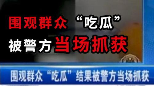 保定最新吃瓜爆料新闻,揭秘神秘事件背后的真相