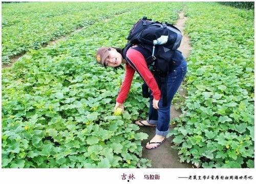 乌拉吃瓜爆料,揭秘娱乐圈幕后真相