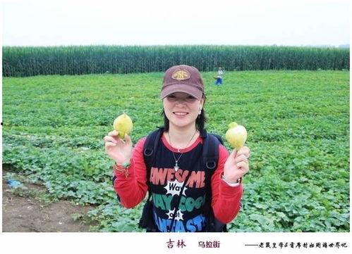 乌拉吃瓜爆料,揭秘娱乐圈幕后真相