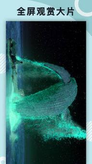 qv视频,探索科技与娱乐的融合新篇章