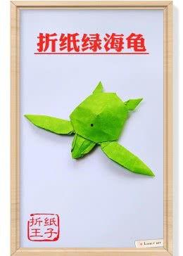 海龟折纸视频,创意折纸艺术的魅力展现