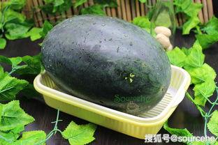黑瓜里面的种子可以吃吗,揭秘能否食用的秘密
