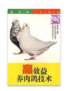 肉鸽养殖技术视频播放,从入门到精通