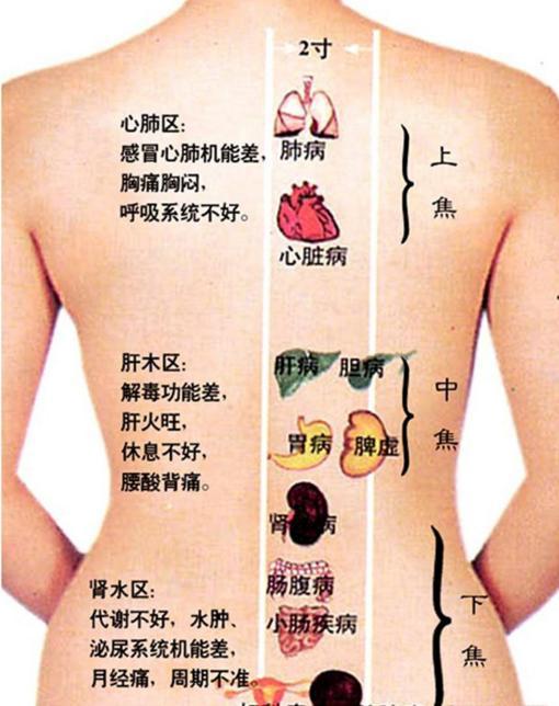 背部刮痧视频全过程,轻松掌握健康养生之道