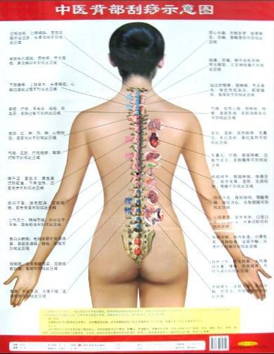 背部刮痧视频全过程,轻松掌握健康养生之道
