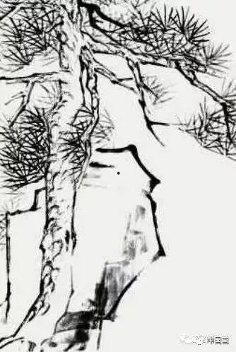 松树的画法视频,从零基础到精美作品的绘制教程