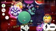 球球 视频,趣味互动，畅游欢乐世界