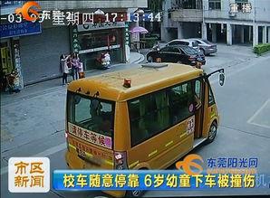 校车视频,安全守护下的温馨旅程