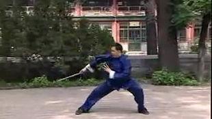 学功夫视频,一招一式，尽在掌握