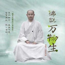 大悲咒视频歌曲,探寻古老咒语的现代魅力