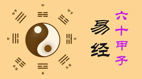 易经视频,揭秘古老经典与现代生活的启示录