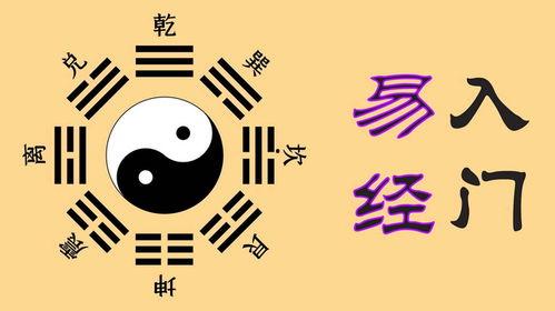 易经视频,揭秘古老经典与现代生活的启示录