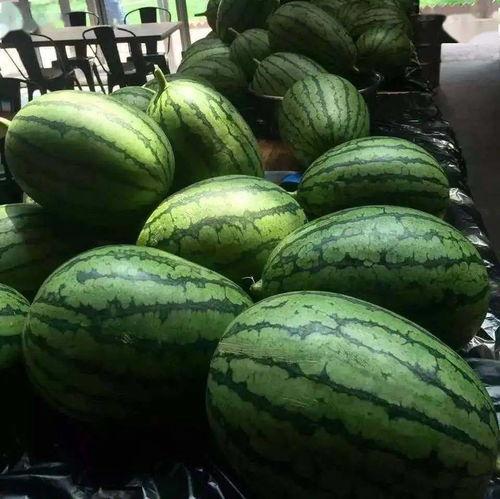 cgbl16cc吃瓜爆料,揭秘娱乐圈幕后真相