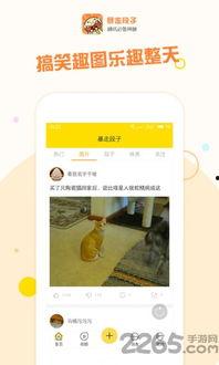 暴走吃瓜暴走黑料明星APP,暴走吃瓜，暴走黑料，明星APP带你探秘幕后真相