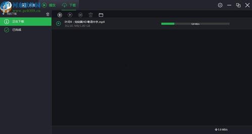 本地视频播放器,功能解析与使用心得