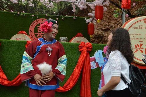 媒婆走路视频,一瞥民间风情与时代变迁