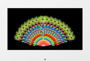 蓝孔雀开屏的视频,绚烂瞬间，自然之美尽显