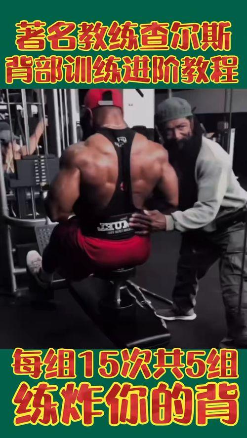 练背视频,跟随视频轻松打造健美背部