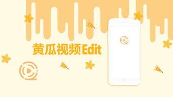 黄瓜视频在线,揭秘短视频平台的魅力与挑战