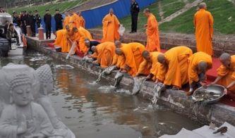 放生视频,人与自然和谐共生的美好瞬间