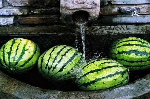 瓜娃今日吃瓜,揭秘娱乐圈最新热点事件