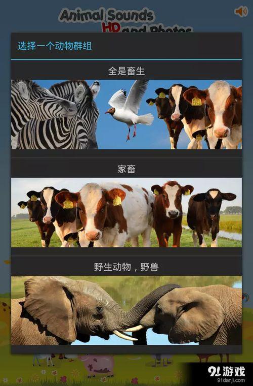 动物叫声大全视频,揭秘大自然中的声音密码