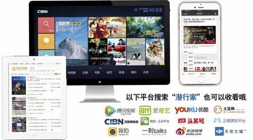 四海视频,探索无限视野，畅享视听盛宴