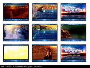 免费视频片头下载,轻松打造个性化视频开场