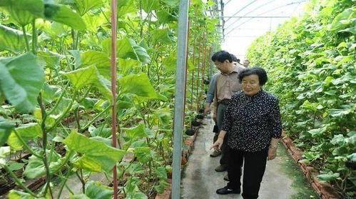 东营吃瓜最新事件爆料是真的吗