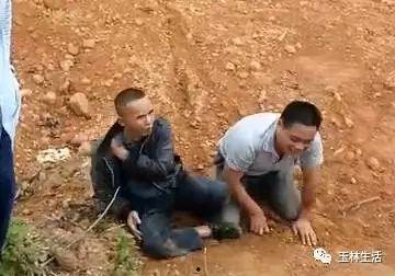 偷狗贼的下场视频,下场视频曝光引众怒