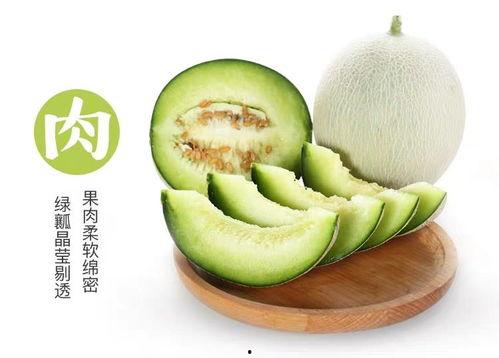 吃网纹瓜黑,探寻神秘果实的秘密与魅力