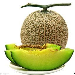 吃网纹瓜黑,探寻神秘果实的秘密与魅力