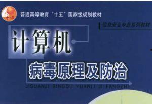 计算机病毒视频,视频解析病毒传播与防护策略